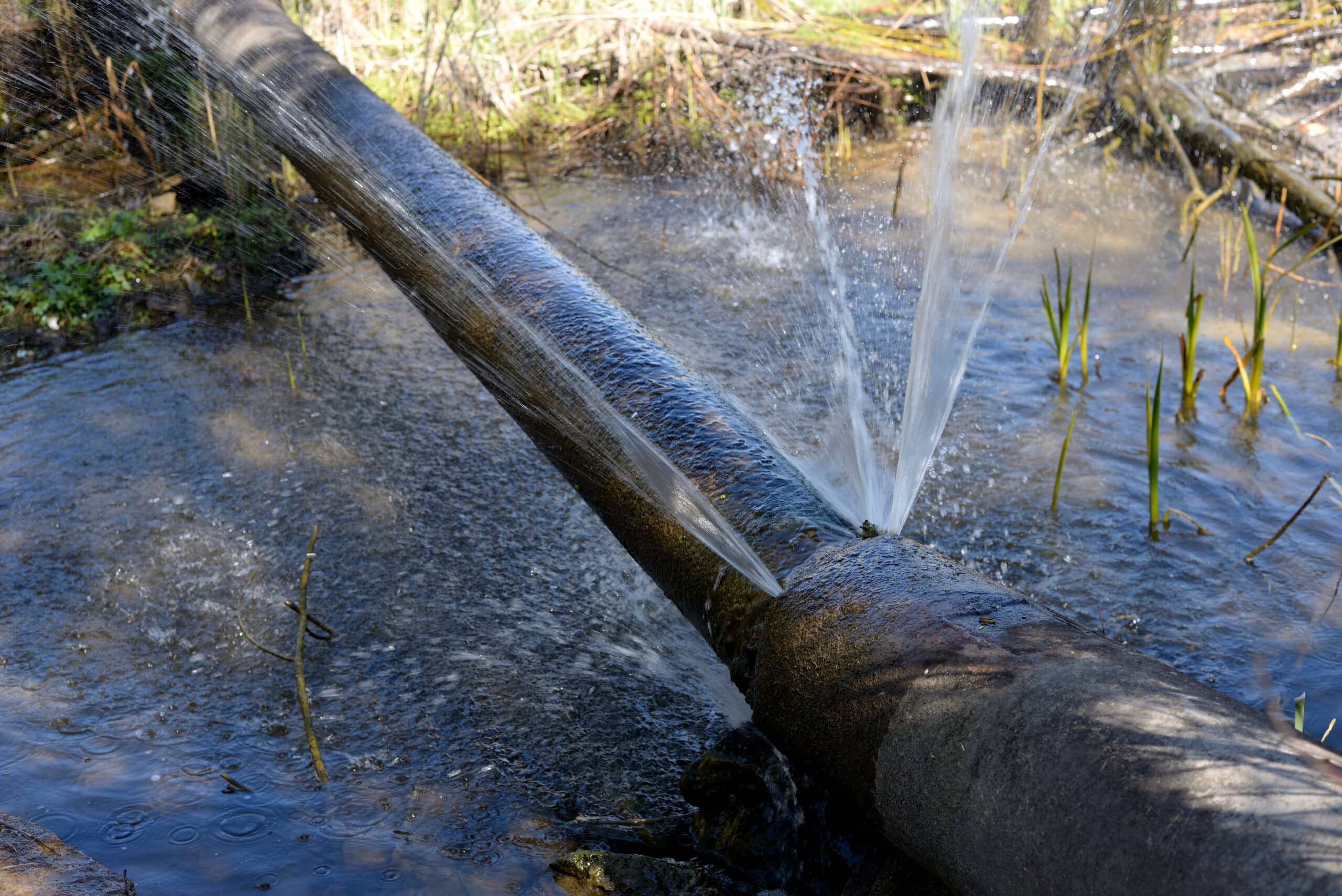 Water Damage Restoration - Water Damage Repair